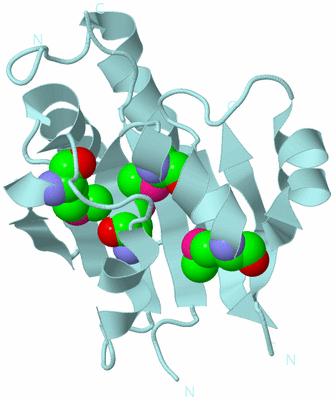 Image Biological Unit 6