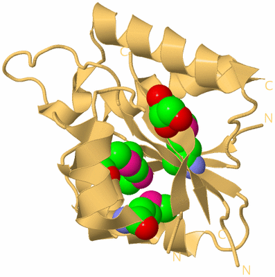 Image Biological Unit 7