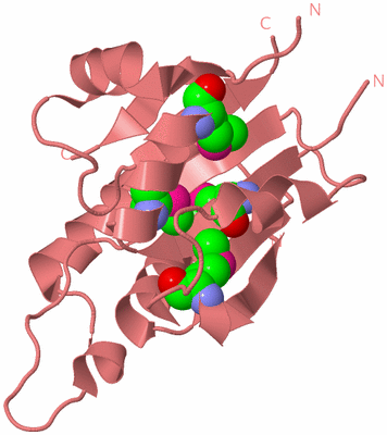 Image Biological Unit 8