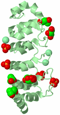 Image Biological Unit 2