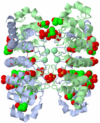 Image Biological Unit 3