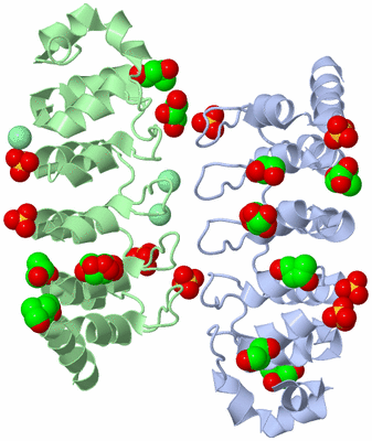 Image Biological Unit 4