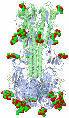 Image Biological Unit 1