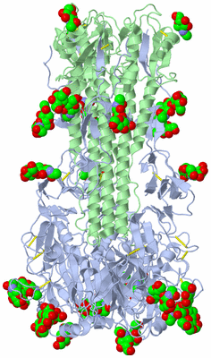 Image Biological Unit 1