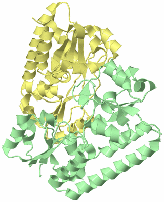 Image Biological Unit 2