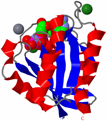 Image Asym./Biol. Unit