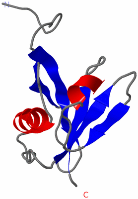 Image NMR Structure - model 1