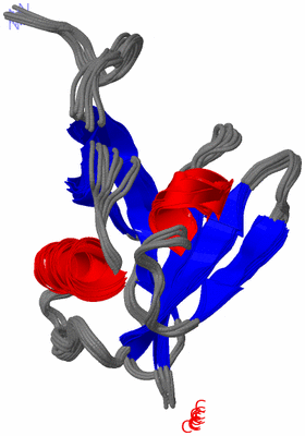 Image NMR Structure - all models