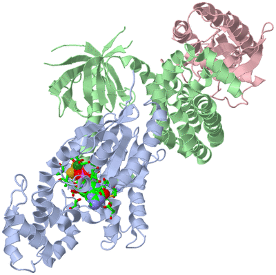 Image Biol. Unit 1 - sites