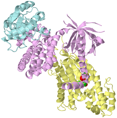 Image Biological Unit 2