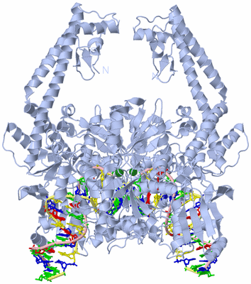 Image Biological Unit 1