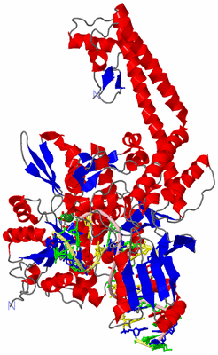 Image Asym. Unit - sites