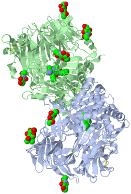 Image Asym./Biol. Unit