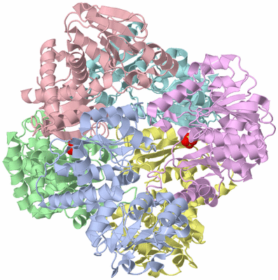 Image Biological Unit 1