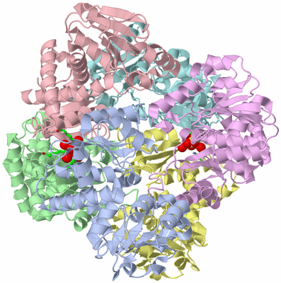 Image Biol. Unit 1 - sites