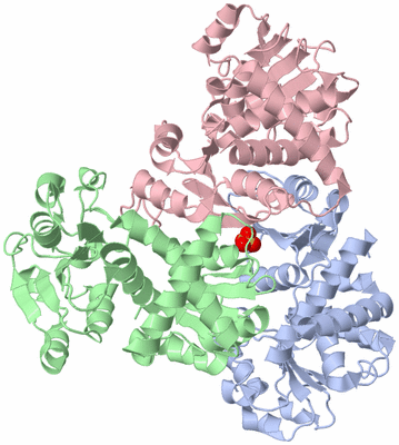 Image Biological Unit 2