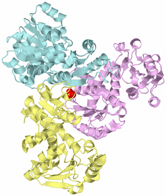 Image Biological Unit 3