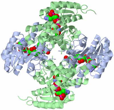 Image Biological Unit 1