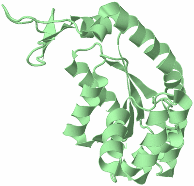 Image Biological Unit 3