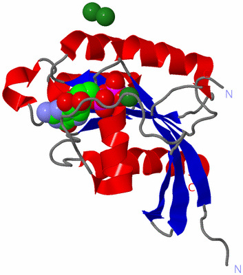 Image Asym./Biol. Unit