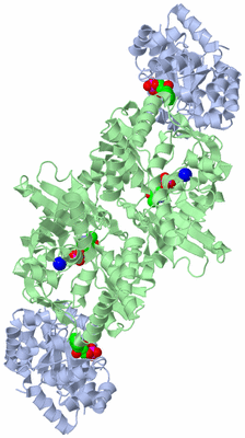 Image Biological Unit 1