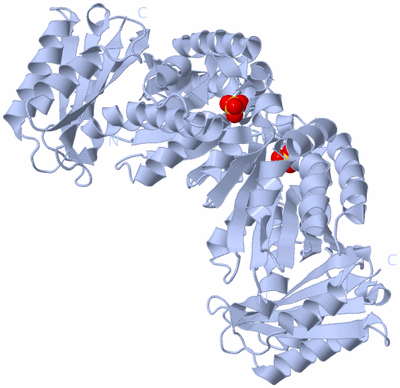 Image Biological Unit 1