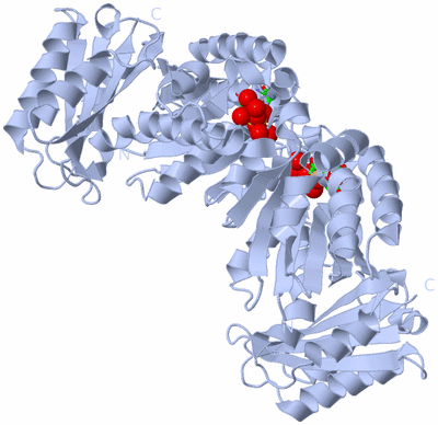 Image Biol. Unit 1 - sites