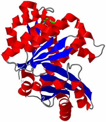 Image Asym. Unit - sites