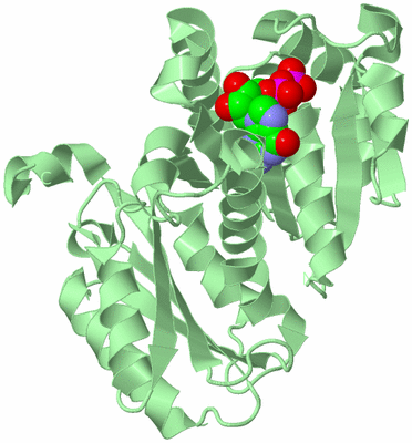 Image Biological Unit 2