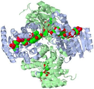 Image Biological Unit 1