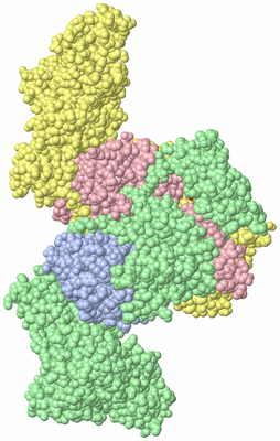 Image Asym./Biol. Unit