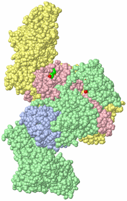 Image Asym./Biol. Unit - sites