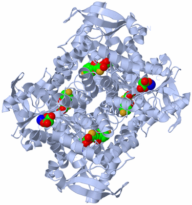 Image Biological Unit 1