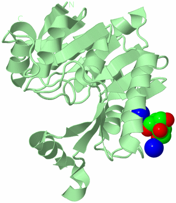 Image Biological Unit 2