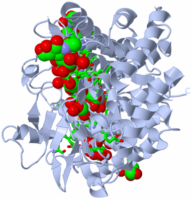 Image Biol. Unit 1 - sites