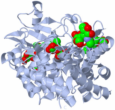Image Biological Unit 1
