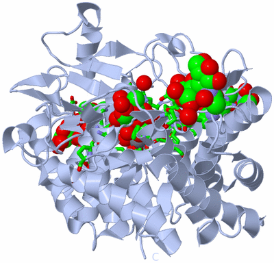 Image Biol. Unit 1 - sites