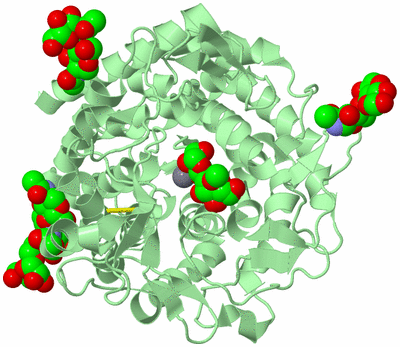 Image Biological Unit 2