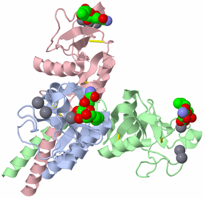 Image Asym./Biol. Unit