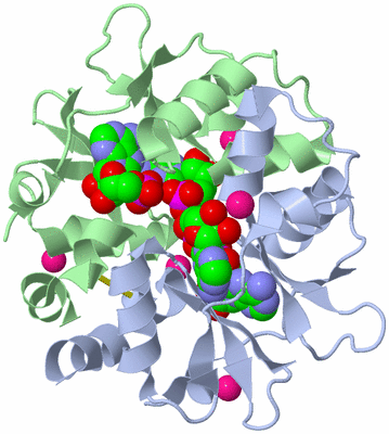 Image Biological Unit 1