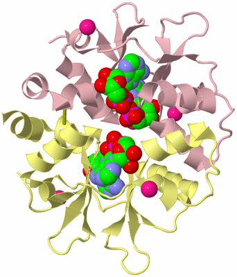 Image Biological Unit 2