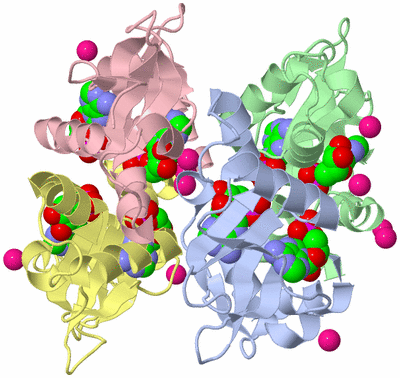 Image Biological Unit 3