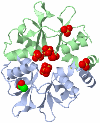 Image Asym./Biol. Unit