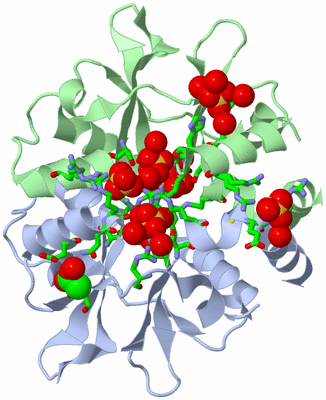 Image Asym./Biol. Unit - sites