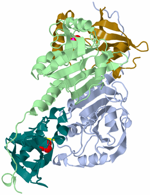 Image Asym./Biol. Unit