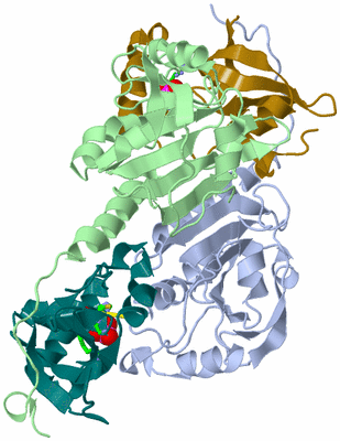 Image Asym./Biol. Unit - sites