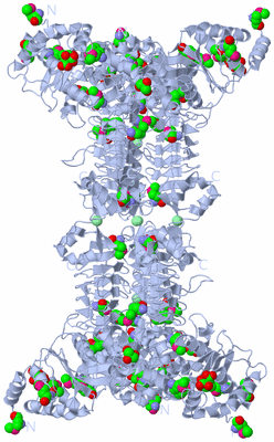 Image Biological Unit 1