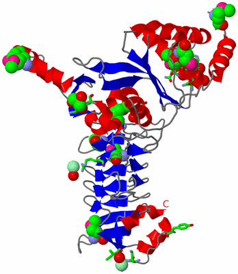 Image Asym. Unit - sites