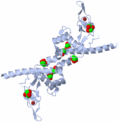 Image Biological Unit 1