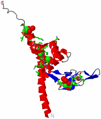 Image Asym. Unit - sites